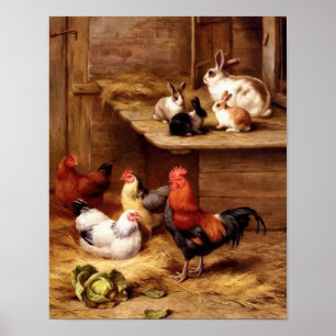 Pôster Coelhos dos animais de fazenda dos animais de