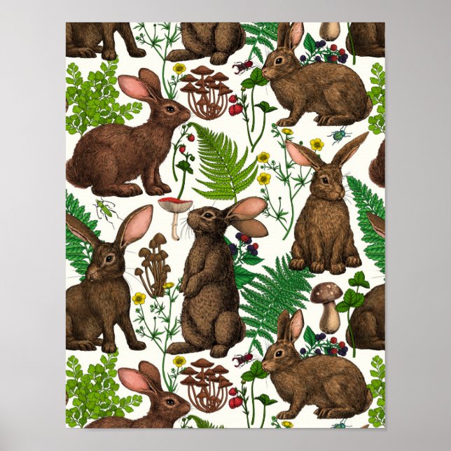 Poster Coelhos e flora florestal 4 (Frente)