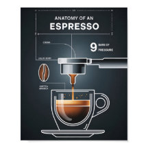 Coffee Lover's Espresso Guide for Kitchen Decor