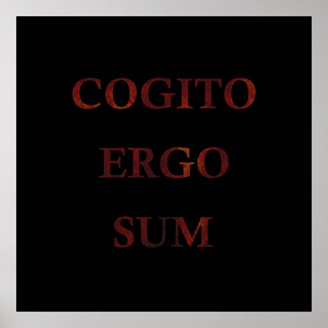 Poster Cogito ergo sum (Frente)