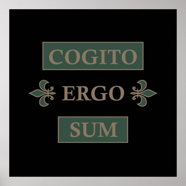 Poster cogito ergo sum, frase em latim (Frente)