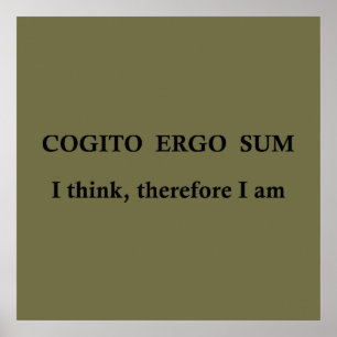 Poster cogito ergo sum, frase latina