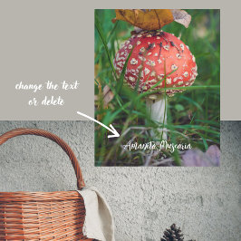 Poster Cogumelo-da-orla-vermelha