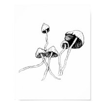 cogumelo-do-psilocybin