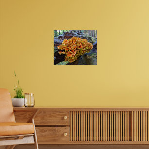Poster Cogumelo Galinha-da-Flor Laranja