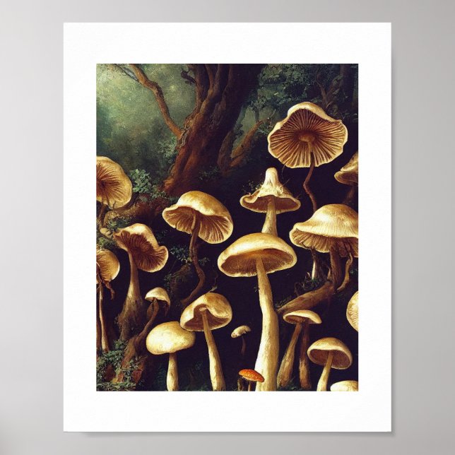Poster Cogumelos (Frente)