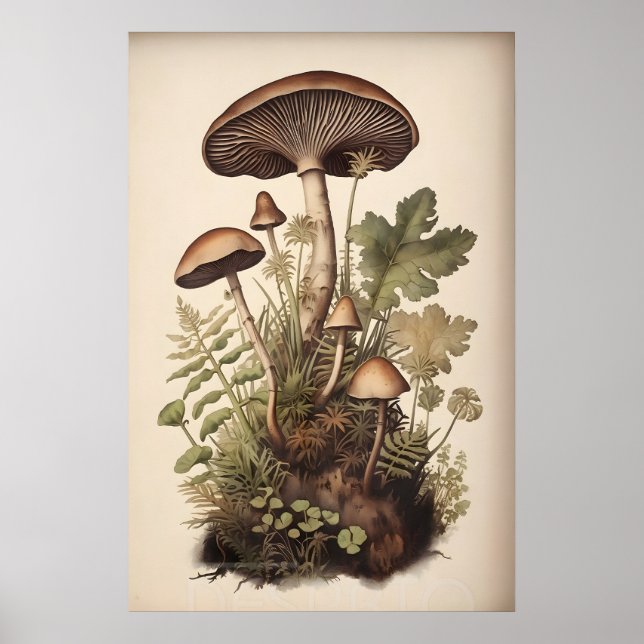 Poster Cogumelos Botânicos Em Samambaia De Musgo, Boho Fl (Frente)