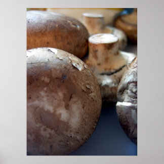 Poster Cogumelos criminosos