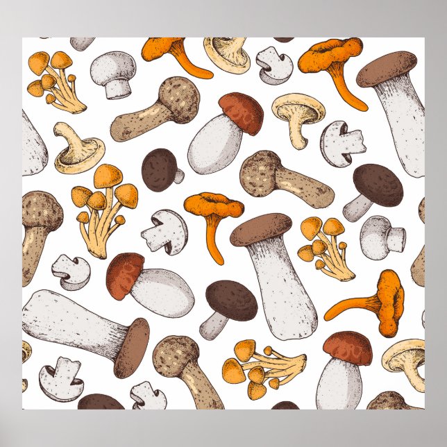 Poster Cogumelos desenhados à mão: fundo de comida. (Frente)
