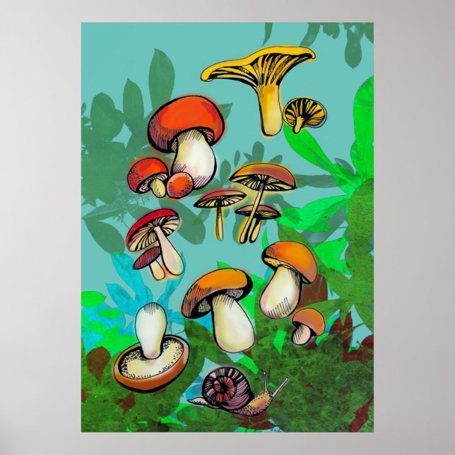 Poster cogumelos e caracol (Frente)