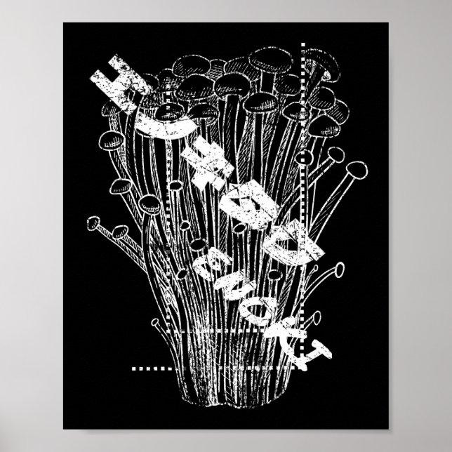 Poster Cogumelos Enoki Brancos Cartas Japoneses Comida de (Frente)