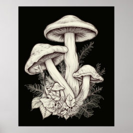 Poster Cogumelos Pálidos Esbranquiçados Fundo Preto Na Pa