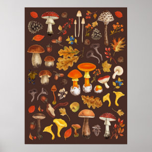 Poster Cogumelos selvagens sobre marrom