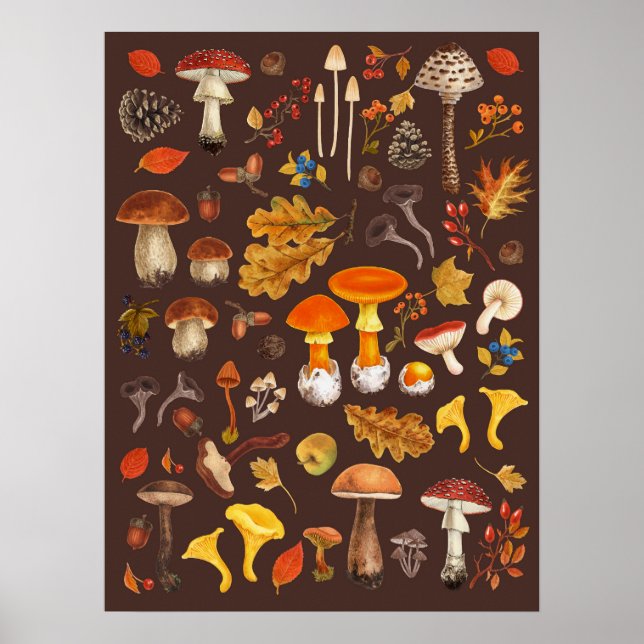 Poster Cogumelos selvagens sobre marrom (Frente)