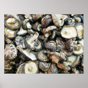 Poster Cogumelos Shiitake