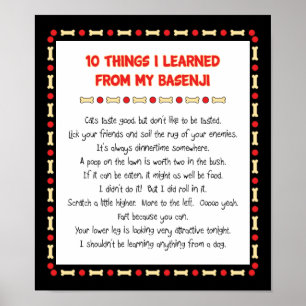 Pôster Coisas Engraçadas Que Aprendi Com O Meu Basenji