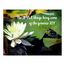 Coisas Simples Sapo Citação Inspiracional