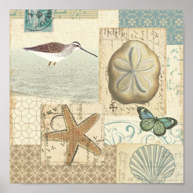 Pôster Colagem Costeira (Frente)