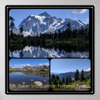 Colagem da Floresta Nacional Mt. Baker-Snoqualmie