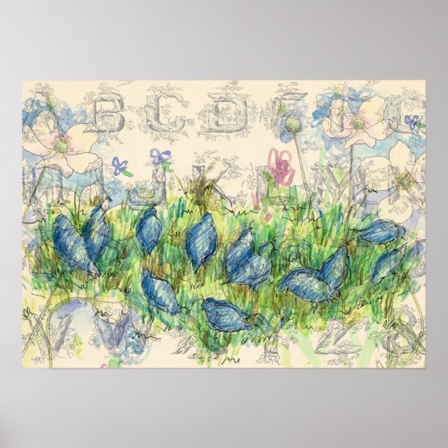 Pôster Colagem de Alfabetos de Forragem de Quail (Frente)