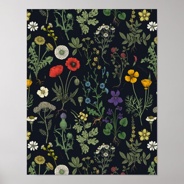 Poster Colagem de flores silvestres (Frente)