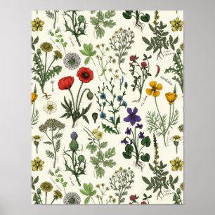 Poster Colagem de flores silvestres