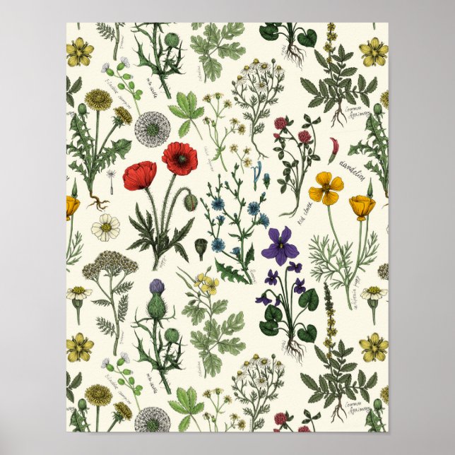 Poster Colagem de flores silvestres (Frente)