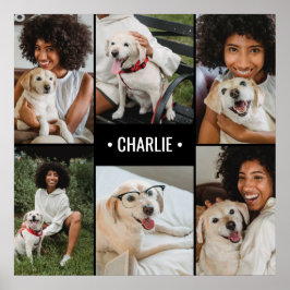 Poster Colagem de Fotos de Cães Monograma