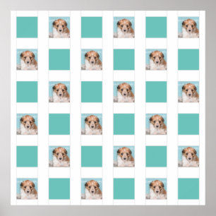 Poster Colagem de fotos de Pet 18 DIY guardar memorial