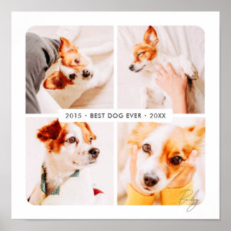 Poster Colagem de Fotos Moderno Melhor Cachorro Memorial