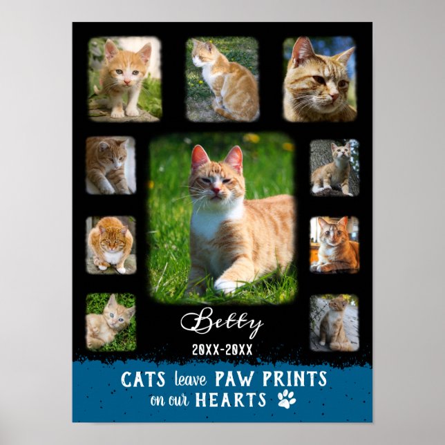 Poster Colagem de Fotos Personalizada Cat Bordas Desbotad (Frente)