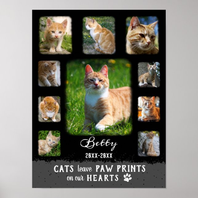 Poster Colagem de Fotos Personalizada Cat Bordas Desbotad (Frente)