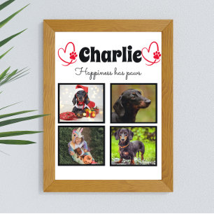 Poster Colagem de fotos personalizada para o amante de cã