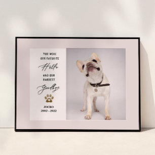 Poster Colagem de Fotos Personalizadas de Memória de Anim