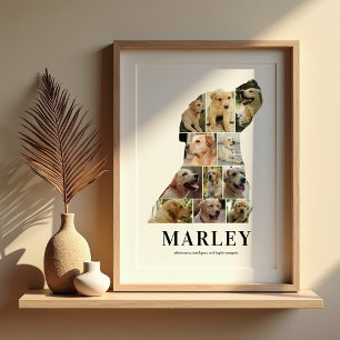 Poster Colagem de Fotos Personalizadas do Labrador em Pos