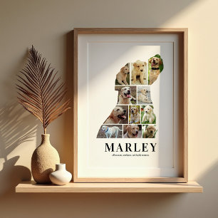 Poster Colagem de Fotos Personalizadas do Labrador em Pos