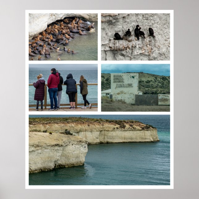 Poster Colagem de fotos Punta loma, província de chubut,  (Frente)