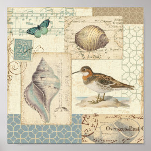 Pôster Colagem de Seashell
