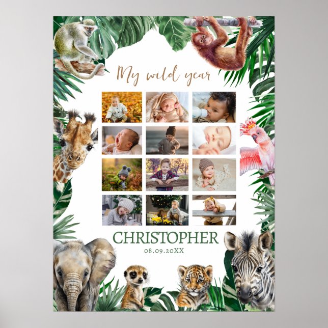 Poster Colagem fotográfica de 12 meses do primeiro ano (Frente)