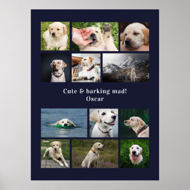 Poster Colagem personalizada com 12 fotos de cães moderna (Frente)