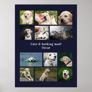 Poster Colagem personalizada com foto de 12 cachorros mod