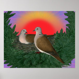 Poster Colchões