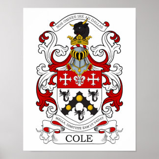 Poster Cole Personalizado 2