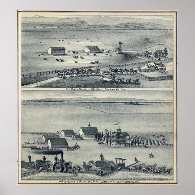 Poster Cole Ranches (Frente)