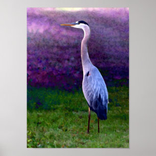 Poster Coleção Blue Heron