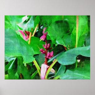 Pôster Coleção cor-de-rosa tropical da banana de veludo