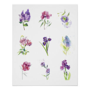 Pôster Coleção de Aquarela Botânica Flores da Primavera