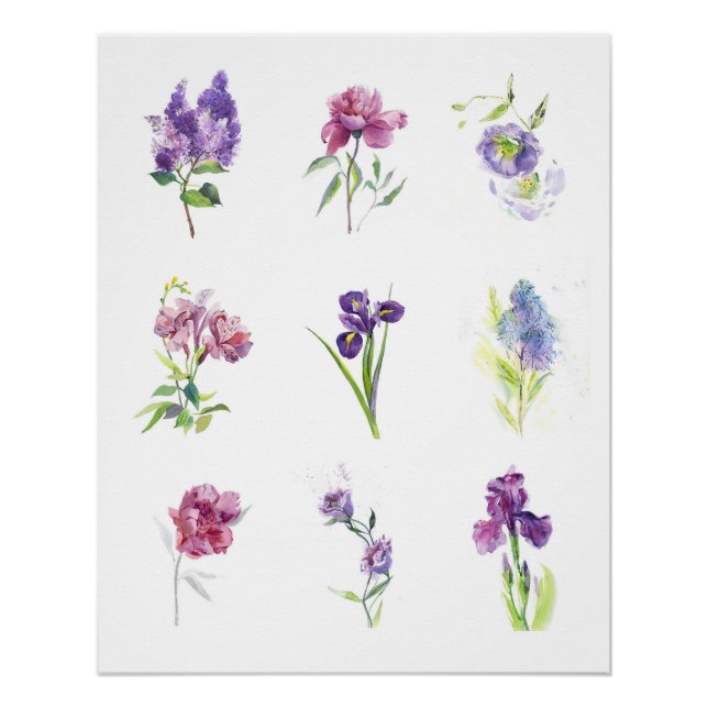 Pôster Coleção de Aquarela Botânica Flores da Primavera (Frente)