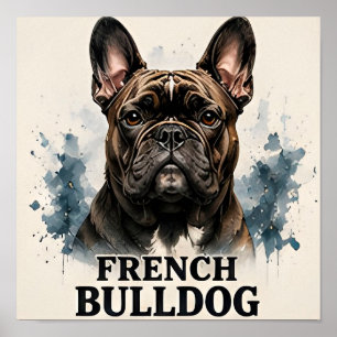 Poster Coleção de Companheiros de Luxo do Bulldog Francês