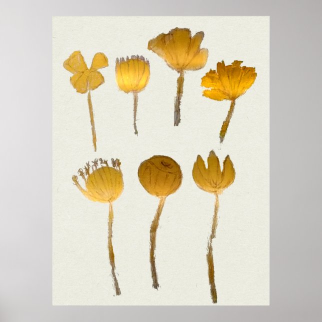Poster Coleção de Flores Secas Abstratas (Frente)